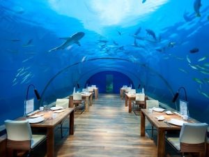 Nhà hàng kính Acrylic dưới đáy biển